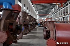 南京泽宇绿色清洁服务有限公司被评为2019年度三水区骨干企业